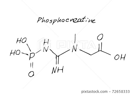 Phosphocreatine Chemistry Molecule Formula Hand Drawn Imitation Phosphocreatine Chemistry Molecule Formula Hand Drawn Imitation 72658333