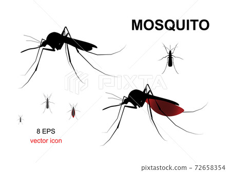 Aegypti Mosquito Vector Icon, Gnat Bloodsucking Insect Sign 72658354