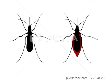 Aegypti Mosquito Vector Icon, Gnat Bloodsucking Insect Sign 72658356