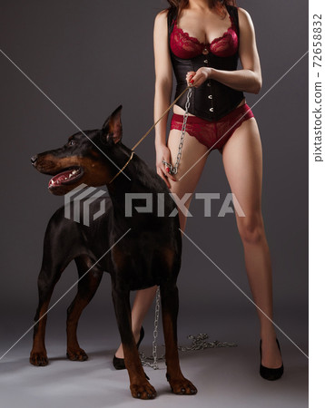 Sexy brunette in undewear with angry dog on leash - Stock Photo [72658832]  - PIXTA