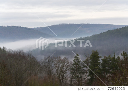 Valley with forest hiding in fog, autumn or winter foggy morning Valley with forest hiding in fog, autumn or winter foggy morning 72659023