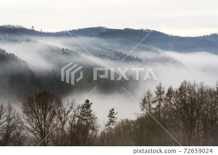 Valley with forest hiding in fog, autumn or winter foggy morning 72659024