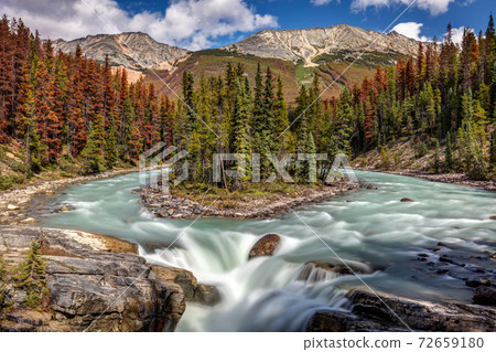 Sunwapta falls in Jasper National Park Sunwapta falls in Jasper National Park 72659180