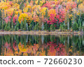 Reflection of Fall Colors 72660230