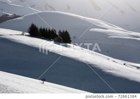 Small house with trees around in a winter landscape Small house with trees around in a winter landscape 72661384