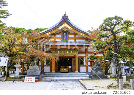 Bright and beautiful Momijihachimangu (Sawara Ward, Fukuoka City, Fukuoka Prefecture) 72661605