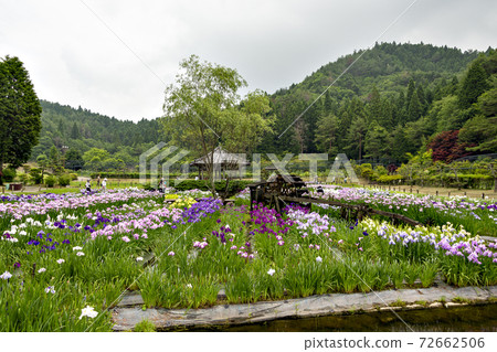 Nagasawa Temple Shobuen in Sanda City, Hyogo Prefecture Nagasawa Temple Shobuen in Sanda City, Hyogo Prefecture 72662506
