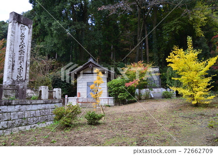 Nishinenji Temple 2020-11-8 # 49 72662709