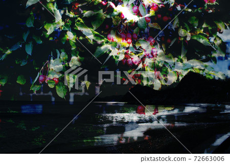 Image of the beach 72663006