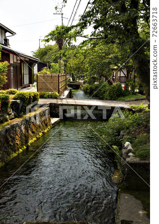 滋賀縣米原市清水溪 以梅花藻 地藏河水流著稱 照片素材 圖片 圖庫