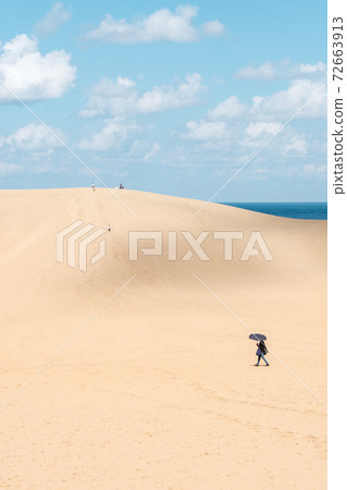 Tottori sand dunes 72663913