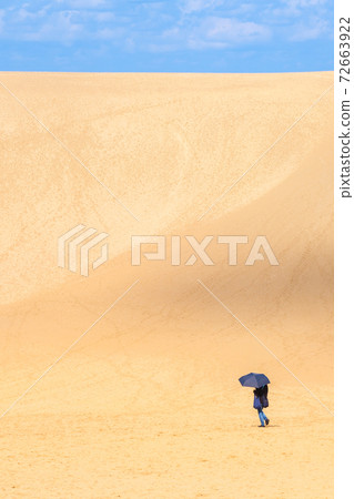 Tottori sand dunes 72663922