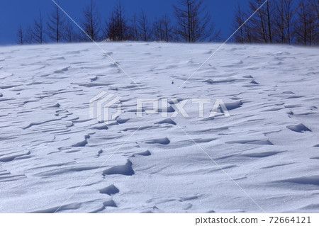 A snowy landscape where thinly piled snow is blown by the wind 72664121