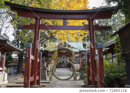 Eifuku, Suginami-ku, Tokyo) The second torii gate of Eifuku Inari Shrine, the Harae of New Year's Eve, and the autumn leaves of Ginkgo 72665116