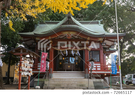 Eifuku, Suginami-ku, Tokyo) Eifuku Inari Shrine and Ginkgo Autumn Leaves 72665117