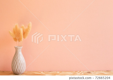 Vase of pink hares tail grass (Lagurus ovatus) dry flowers on wooden table. pink background 72665204