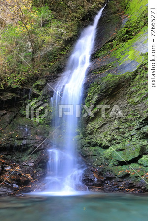 [Tokushima Prefecture] Autumn leaves Biwa Falls (Kazura Bridge at Iya) 72665271