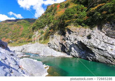 [德島縣]大葉峽 72665286