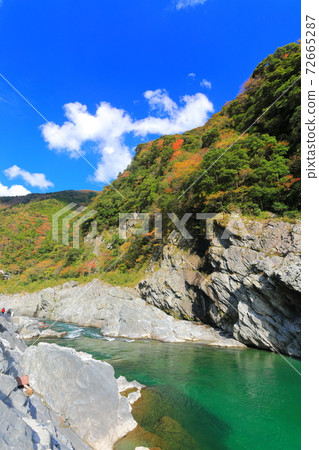 [德島縣]大葉峽 72665287