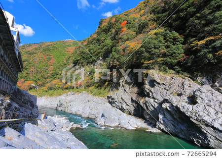 [德島縣]大葉峽 72665294
