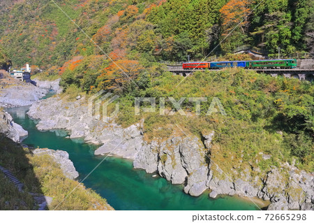 [德島縣]秋色的大峽谷和觀光列車 72665298