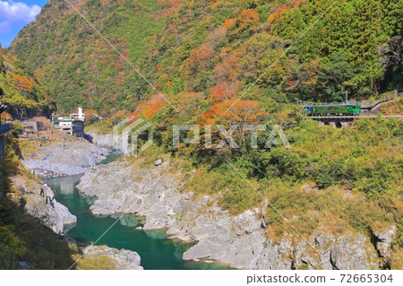 [德島縣]秋色的大峽谷和觀光列車 72665304