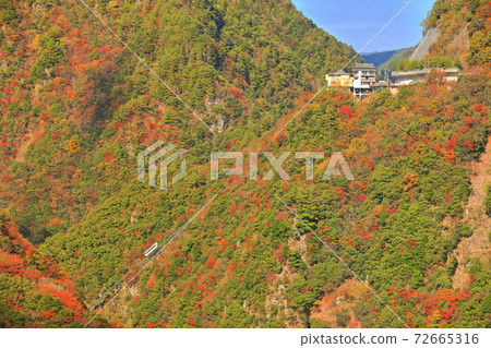 [德島縣]矢屋溫泉和秋葉纜車 72665316