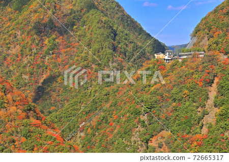 [Tokushima Prefecture] Autumn leaves Iya Onsen and cable car 72665317