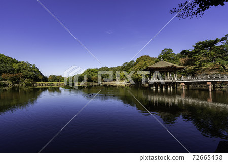 Nara Park Ukimido Sagiike, Nara City, Nara Prefecture 72665458