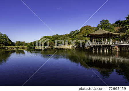 Nara Park Ukimido Sagiike, Nara City, Nara Prefecture 72665459