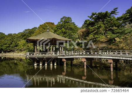 奈良縣奈良市Ukimido Sagiike奈良公園 72665464