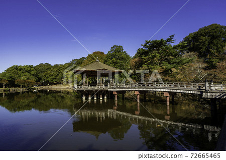 奈良縣奈良市Ukimido Sagiike奈良公園 72665465