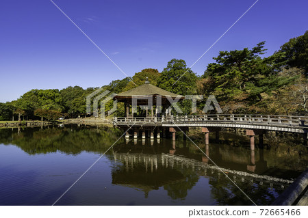 Nara Park Ukimido Sagiike, Nara City, Nara Prefecture Nara Park Ukimido Sagiike, Nara City, Nara Prefecture 72665466