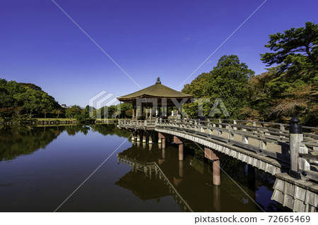 Nara Park Ukimido Sagiike, Nara City, Nara Prefecture 72665469