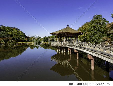 Nara Park Ukimido Sagiike, Nara City, Nara Prefecture 72665470