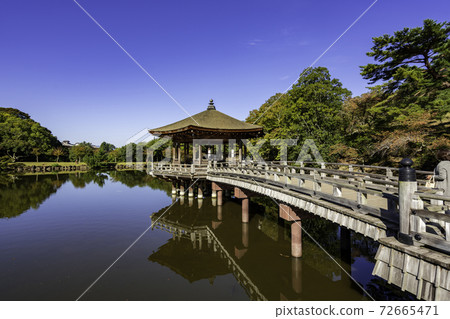 奈良縣奈良市Ukimido Sagiike奈良公園 72665471