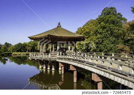 奈良縣奈良市Ukimido Sagiike奈良公園 72665473