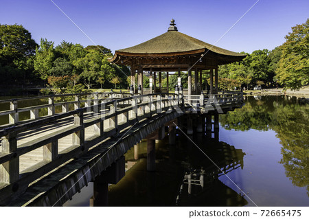 Nara Park Ukimido Sagiike, Nara City, Nara Prefecture 72665475