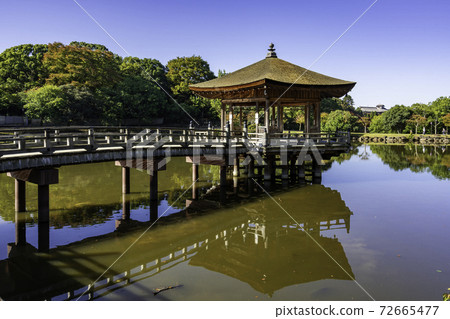Nara Park Ukimido Sagiike, Nara City, Nara Prefecture 72665477