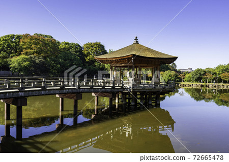 奈良縣奈良市Ukimido Sagiike奈良公園 72665478