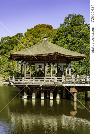 Nara Park Ukimido Sagiike, Nara City, Nara Prefecture Nara Park Ukimido Sagiike, Nara City, Nara Prefecture 72665484