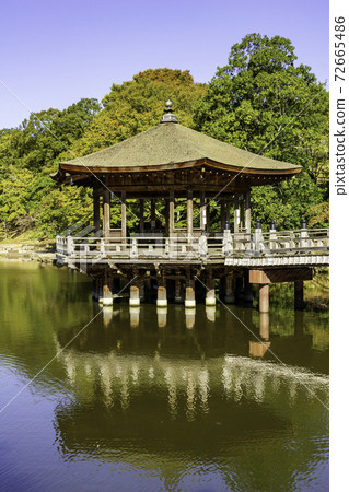 Nara Park Ukimido Sagiike, Nara City, Nara Prefecture Nara Park Ukimido Sagiike, Nara City, Nara Prefecture 72665486