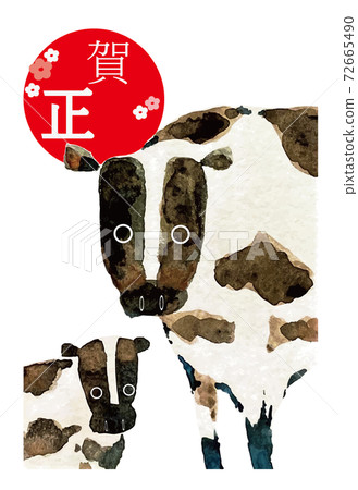 Watercolor cow illustration New Year's card Watercolor cow illustration New Year's card 72665490