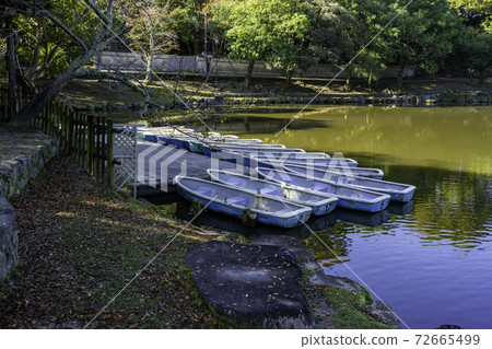 Nara Park Ukimido Sagiike Boat Nara City, Nara Prefecture 72665499
