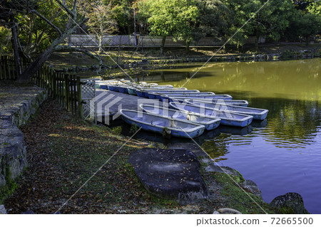 Nara Park Ukimido Sagiike Boat Nara City, Nara Prefecture Nara Park Ukimido Sagiike Boat Nara City, Nara Prefecture 72665500