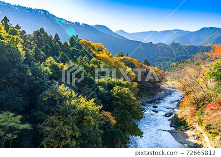 Ome City Mitake Gorge Autumn Leaves Sky Momiji Festival Ome City Mitake Gorge Autumn Leaves Sky Momiji Festival 72665812