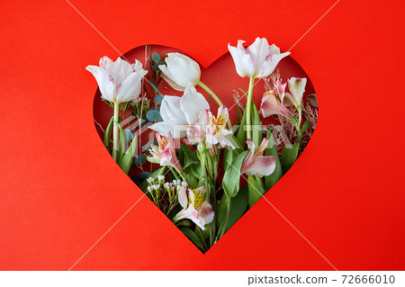 Frame of fresh tulips arranged 72666010