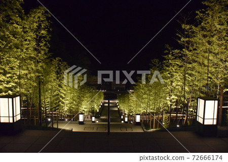 Nagato Yumoto Onsen Bamboo Forest Stairs 72666174