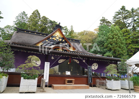 大崎八man宮松島 72666579