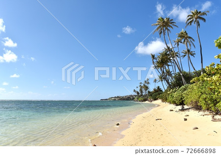 Holidays in Hawaii 72666898